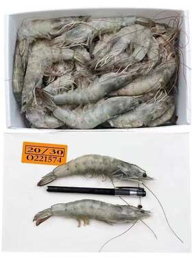 皇冠大虾冷冻海鲜水产