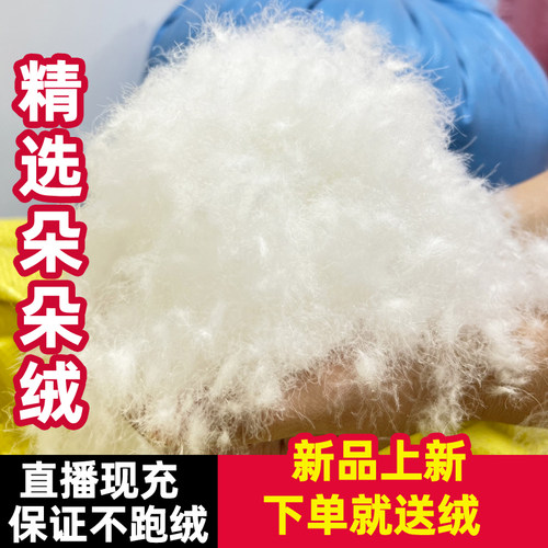 直播现充羽绒被加厚保暖双人被芯