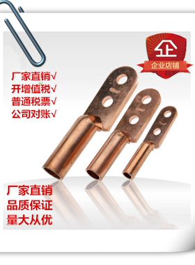 DT-50S 双眼铜鼻 双孔铜鼻堵油铜接头电线接线端子接线鼻铜接线鼻