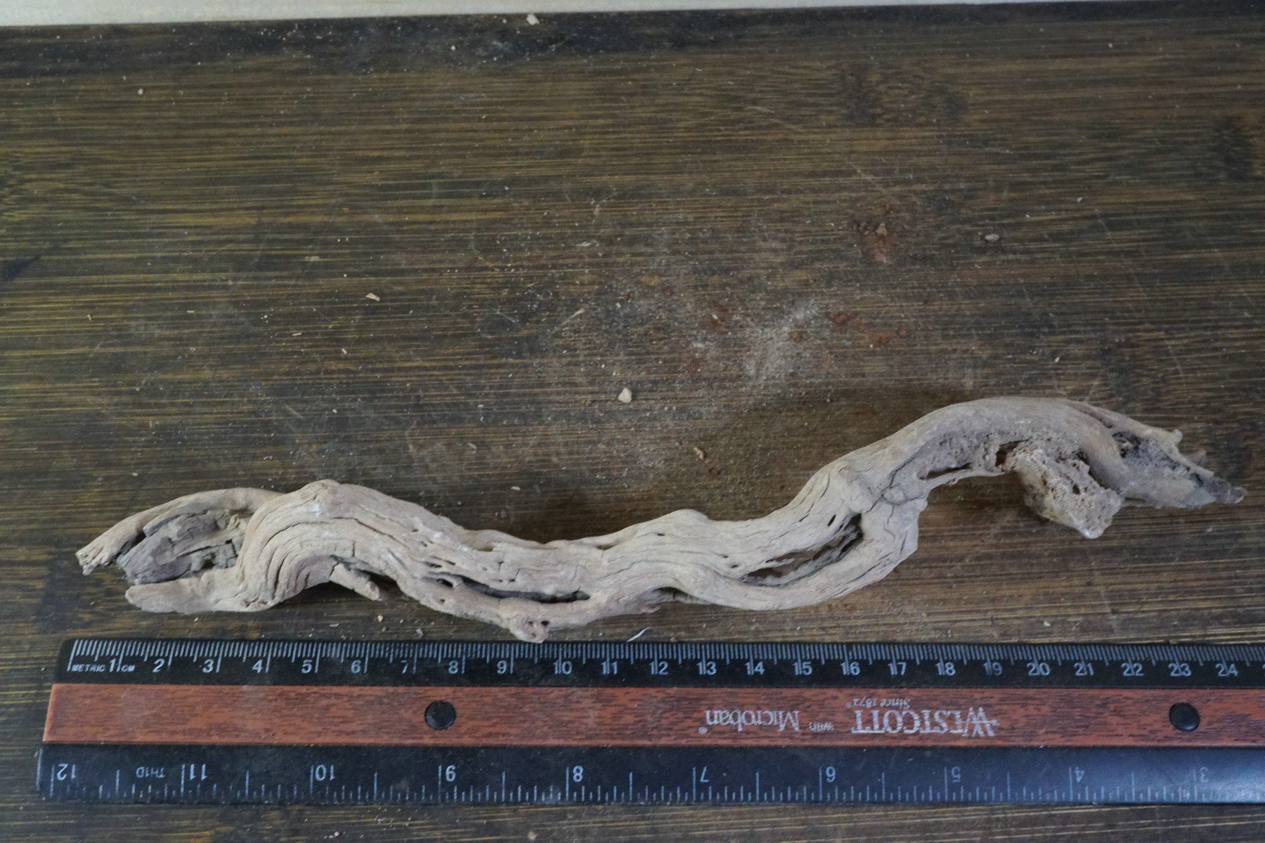 37号 新疆哈密地表红柳根