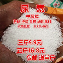 尿素氮肥料盆栽花卉家庭园艺种花种菜氮磷钾肥复合肥氮肥通用 包邮