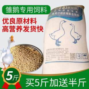 雏鹅小鹅饲料鹅全价颗粒饲料青年鹅大鹅饲料5斤装 包邮 鸟粮孔雀粮