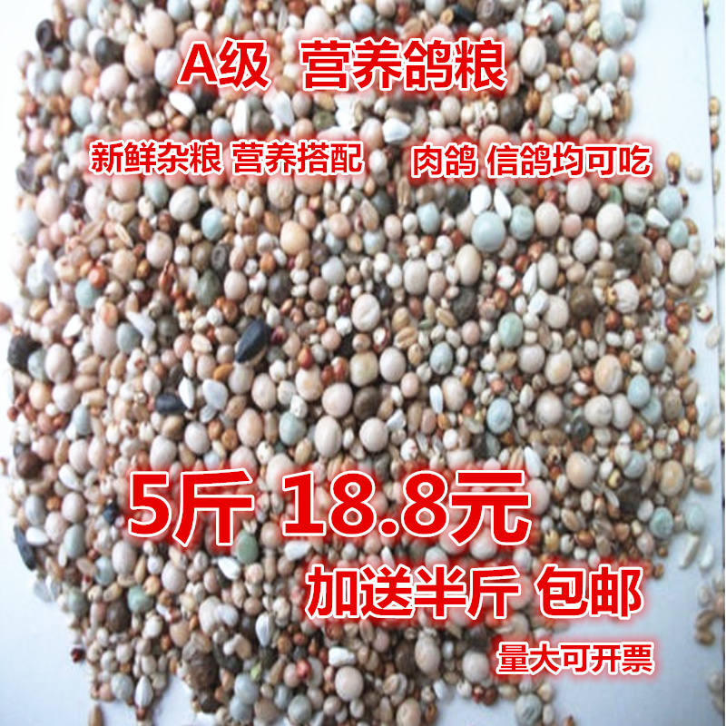 鸽粮鸽子饲料肉鸽信鸽粮食营养