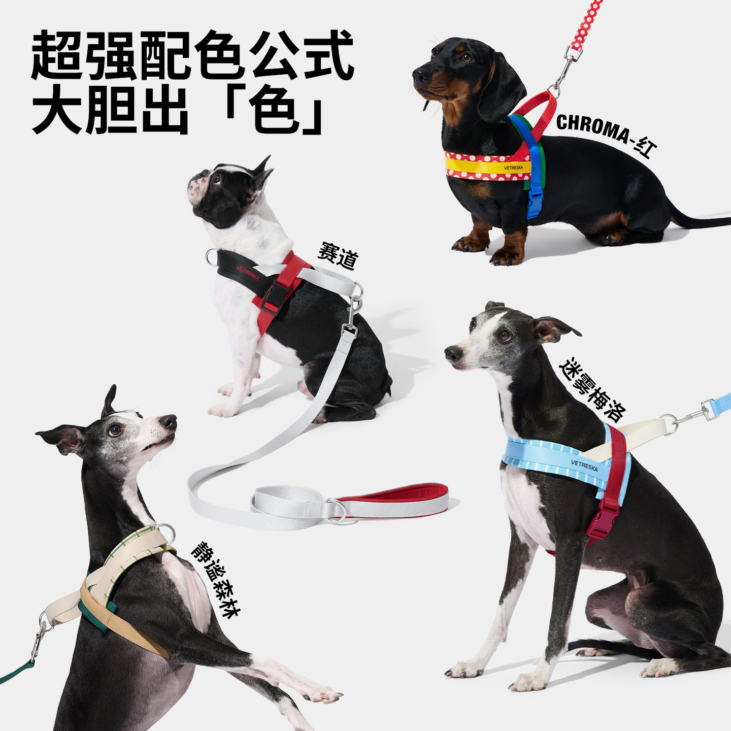 未卡Chroma宠物牵引绳快套胸背牵引绳套装赛道牵引绳遛狗绳防爆冲