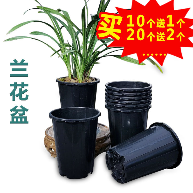 10个新款塑料两用花盆兰花盆绿萝月季多肉育苗盆绿植草莓培育盆,鲜花速递/花卉仿真/绿植园艺,花盆,淘宝优惠券,粉丝福利购,淘宝优惠卷
