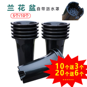 10个绿兰加厚塑料兰花专用盆高育苗花卉盆多肉兰草盆控根吊挂盆