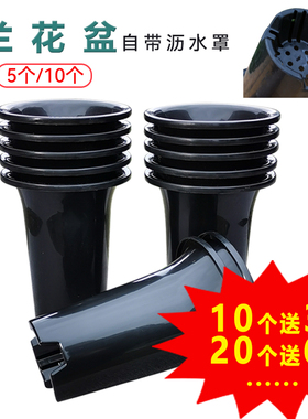 5/10个绿兰加厚塑料兰花专用盆高育苗花卉盆多肉兰草盆控根吊挂盆