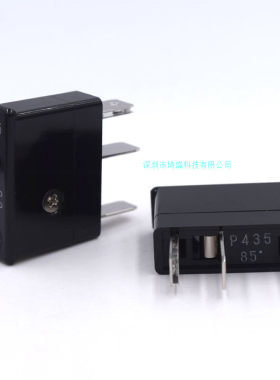 P413P450PL475保险丝DAITO