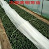 Glass fiber rods greenhouse greenhouse Bracket Greenhouse balcony Vegetables Cattle Plastic skeleton Shed