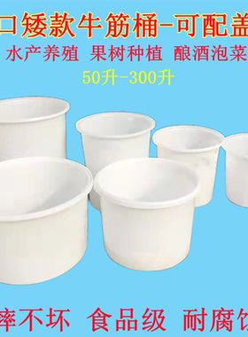 加厚牛筋桶矮款养殖水产大口圆桶种花树桶泡菜桶熟胶打灰桶带盖子