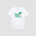 Coconut Tree Signature Font White