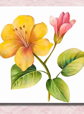 黄粉花朵数字油画diy填色手绘客厅高级装饰画打发时间减压神器