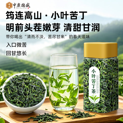 正宗小叶苦丁茶2026新茶头茬嫩芽