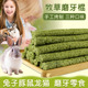 苜蓿草果树草提摩西草磨牙牧草棒棍龙猫荷兰猪兔子天竺鼠