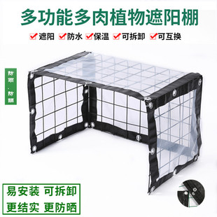 多肉防雨前开遮阳棚花架遮雨棚阳台防雨架多肉遮阳棚遮雨罩防鸟罩