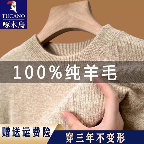 啄木鸟冬季男士100%羊毛加厚衫