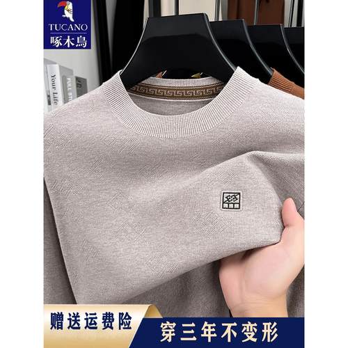 啄木鸟2025秋冬新款长袖羊毛衫