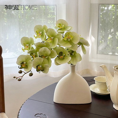 蝴蝶兰仿真花假花家居桌面装饰花