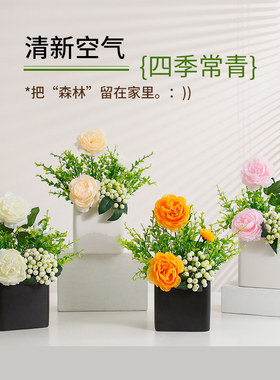 仿真绿植盆栽摆件干花盆景摆设
