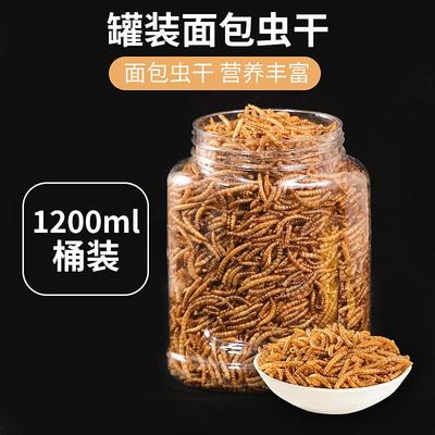 面包虫干1200ML黄粉虫干仓鼠用品粮食零食刺猬鱼鸟饲料龟粮鸟食