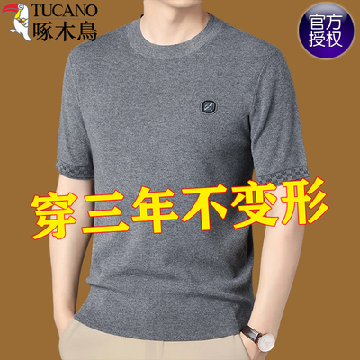 啄木鸟半高领圆领针织百搭短袖男