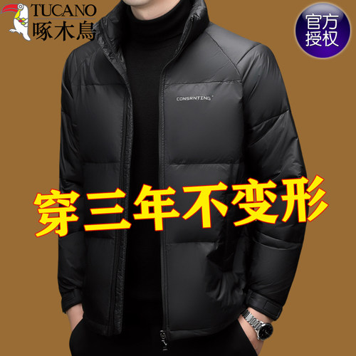 啄木鸟羽绒棉服立领外套男棉袄
