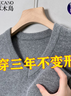啄木鸟V领纯色加厚保暖针织衫男