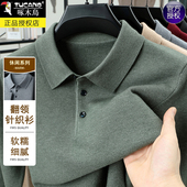 纯色百搭保暖polo针织打底衫 款 男 2025冬季 啄木鸟重磅翻领毛衣男士