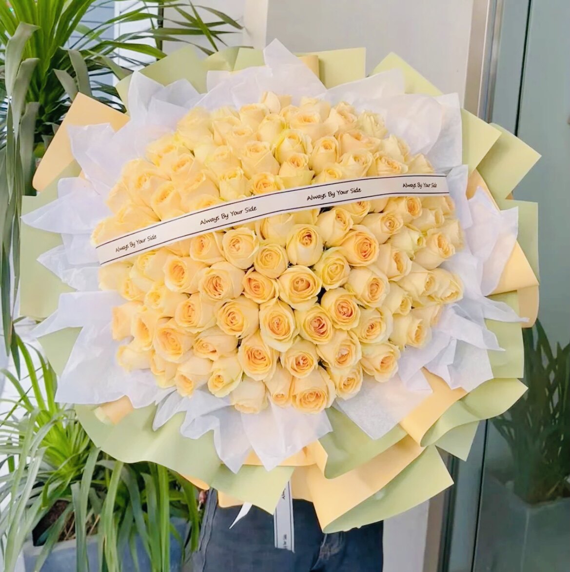 99朵香槟玫瑰 桔色泡泡 重庆主城市区鲜花同城速递七夕情人节表白