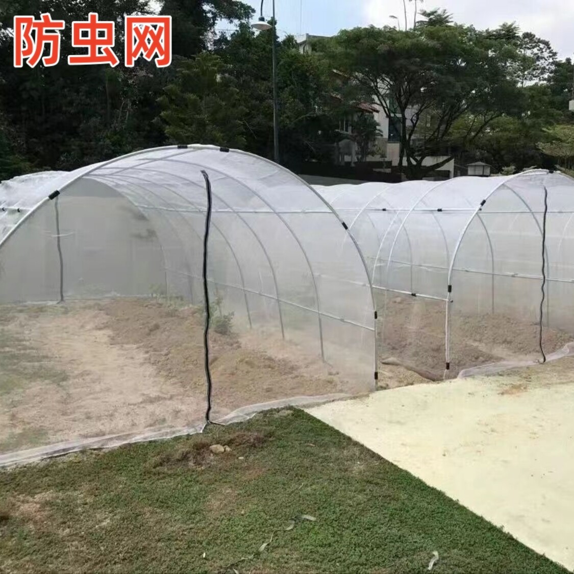 大棚防虫网防病虫害保护网