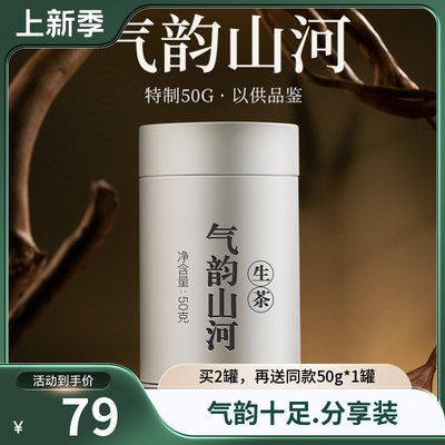 陈升号云南普洱茶气韵山河50g