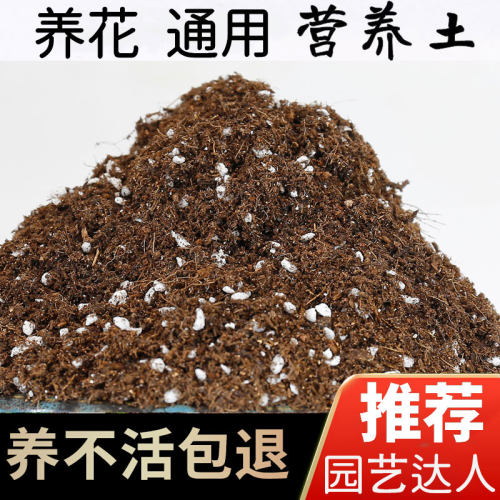 花土家用盆栽通用泥炭营养土壤种植龟背竹朱顶红月季草莓养花专用