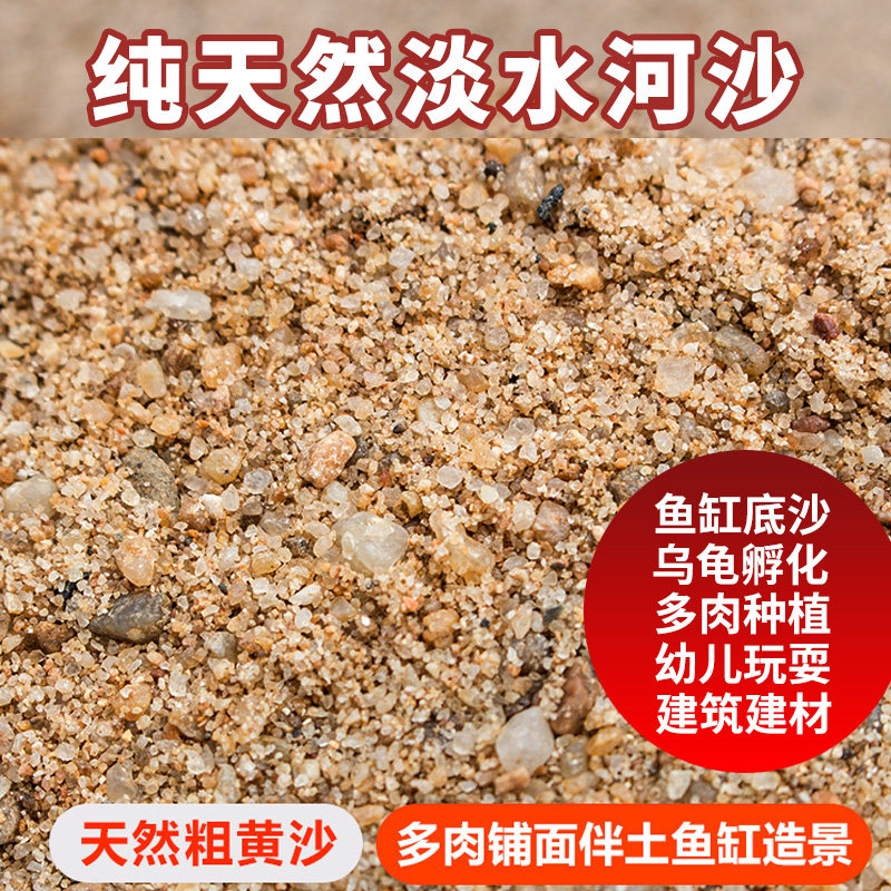 河沙养花种植土壤天然粗河沙黄沙子鱼缸底砂铺面石建筑砂土种生桩,鲜花速递/花卉仿真/绿植园艺,介质/营养土,淘宝优惠券,粉丝福利购,淘宝优惠卷