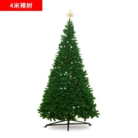 4 метра обнаженное дерево