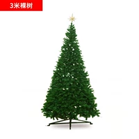 3 метра обнаженное дерево