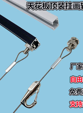 顶装挂画轨道挂画器可移动