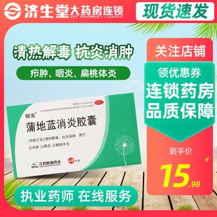 颐海 蒲地蓝消炎胶囊0.4g*48粒清热解毒抗炎消肿咽炎疖肿扁桃体炎