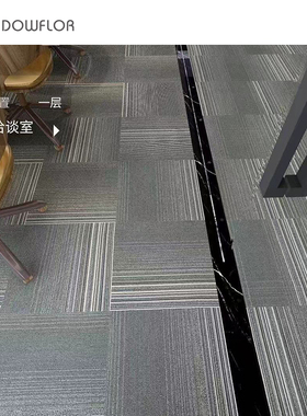 道弗乐道尔顿海岸线星际迷航灰色条纹ＰＶＣ办公室方块地毯帕拉丁