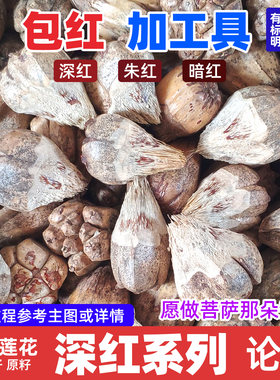 禅悦缘【 深红系列 论斤】滴血莲花原籽 文玩菩提子手串毛料包邮