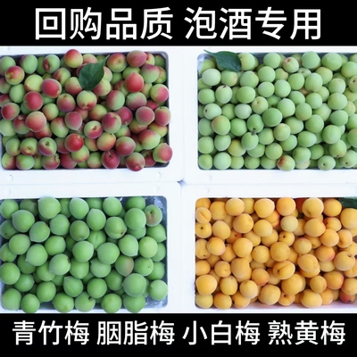 【新鲜现摘】【泡酒专用】