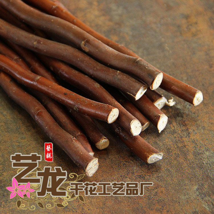 仿真花仿真藤树枝天然龙柳枝艺术干花天然干树枝装饰曲枝