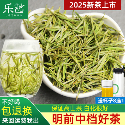 乐茁 白嫩【明前中档-安吉白茶】2025年新茶珍稀正宗高山茶叶250g