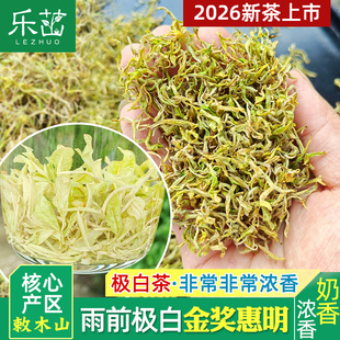 极白茶手工 奶香浓香【明前中档-金奖惠明茶】2026年新茶景宁白茶