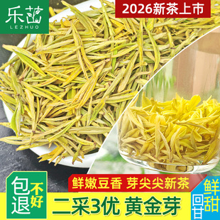 乐茁短肥芽【明前二采3优-黄金芽】2026年新茶安吉正宗黄金叶白茶