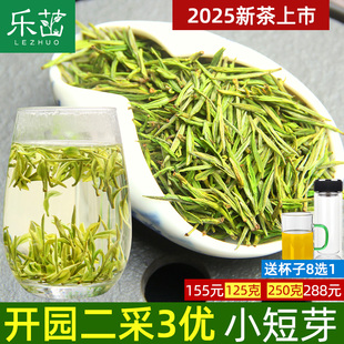 乐茁2025年新茶【安吉白茶特短3优级】开园二采明前正宗珍稀春茶