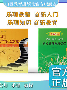 正版二册包邮乐理视唱听写高考