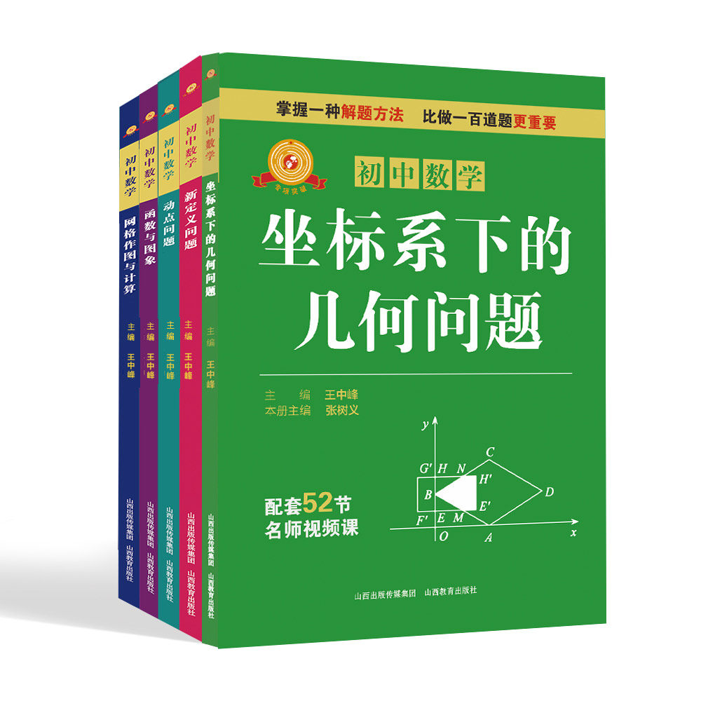正版 五册 专项突破·初中数学 动点问题  新定义问题 函数与图象  网格作图与计算 坐标系下的几何问题 王中峰主编