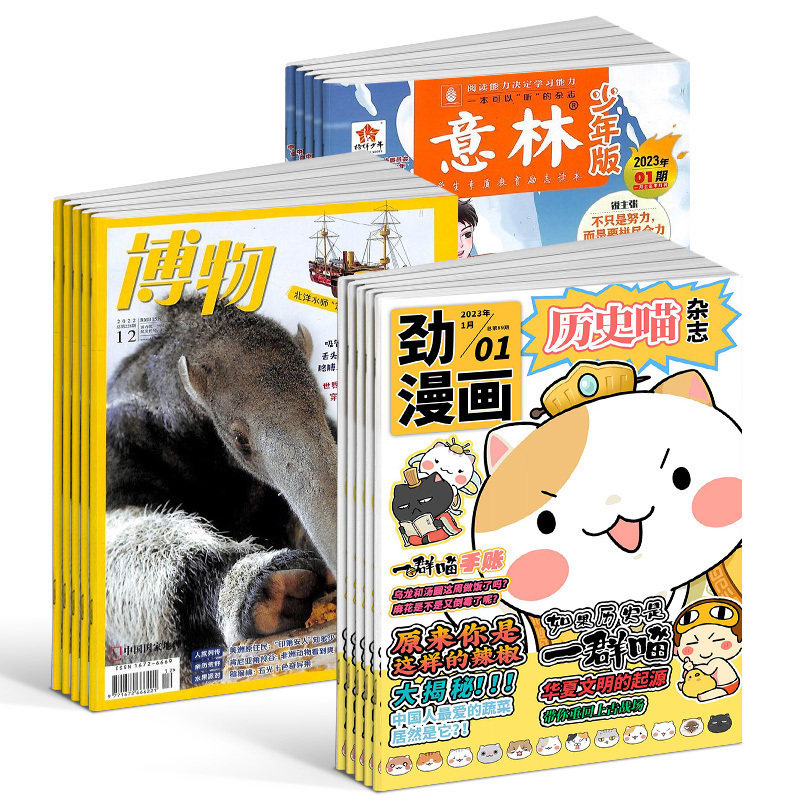 包邮历史喵+博物+意林少年版杂志组合 2024年一月起订 组合共48期 少儿兴趣阅读历史漫画书 7-12岁中小学生励志作文素材 杂志铺高性价比高么？
