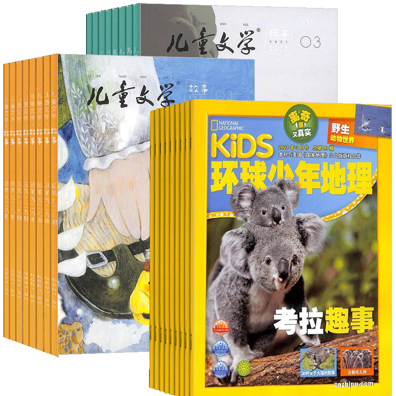 少儿科普探索兴趣阅读课外杂志