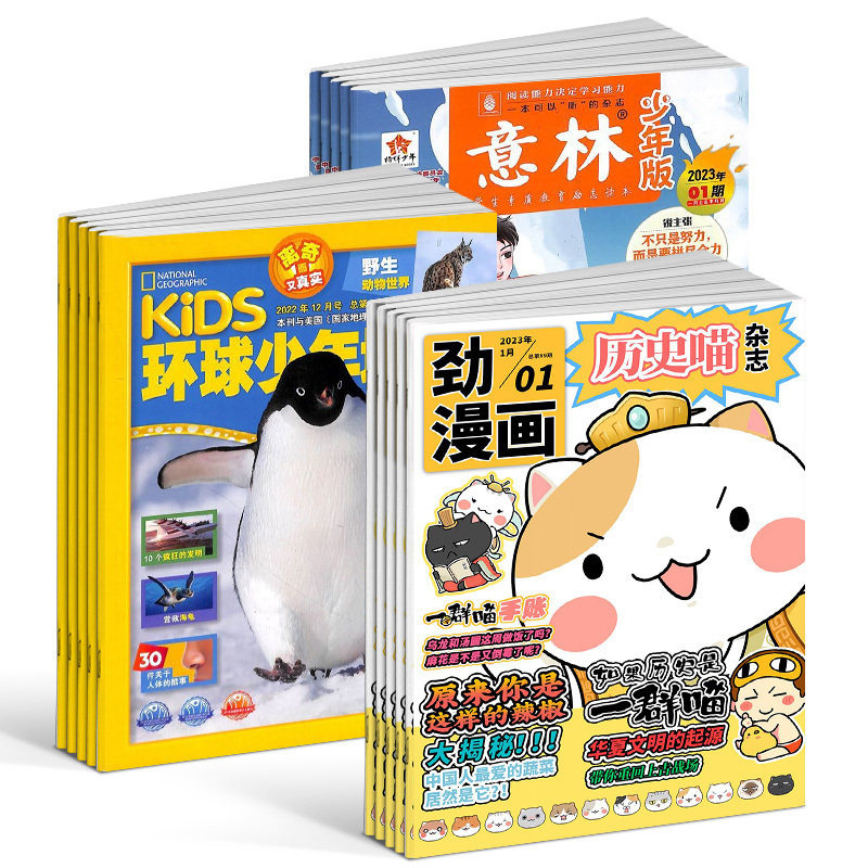 包邮历史喵+环球少年地理+意林少年版杂志组合 2024年1月起订 组合共48期 少儿兴趣阅读历史漫画书 中小学生励志作文素材 杂志铺怎么看?